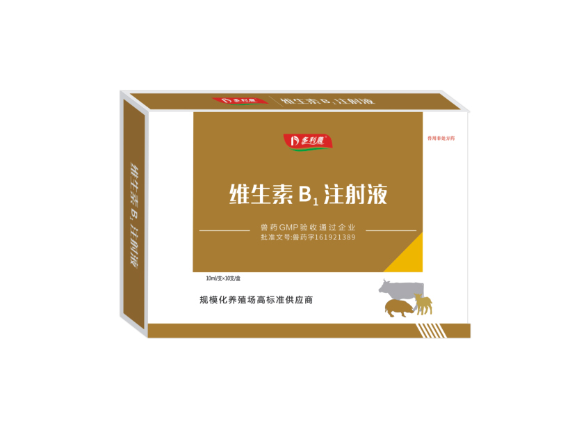 維生素B1注射液.jpg