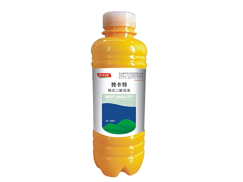 獨卡特.jpg