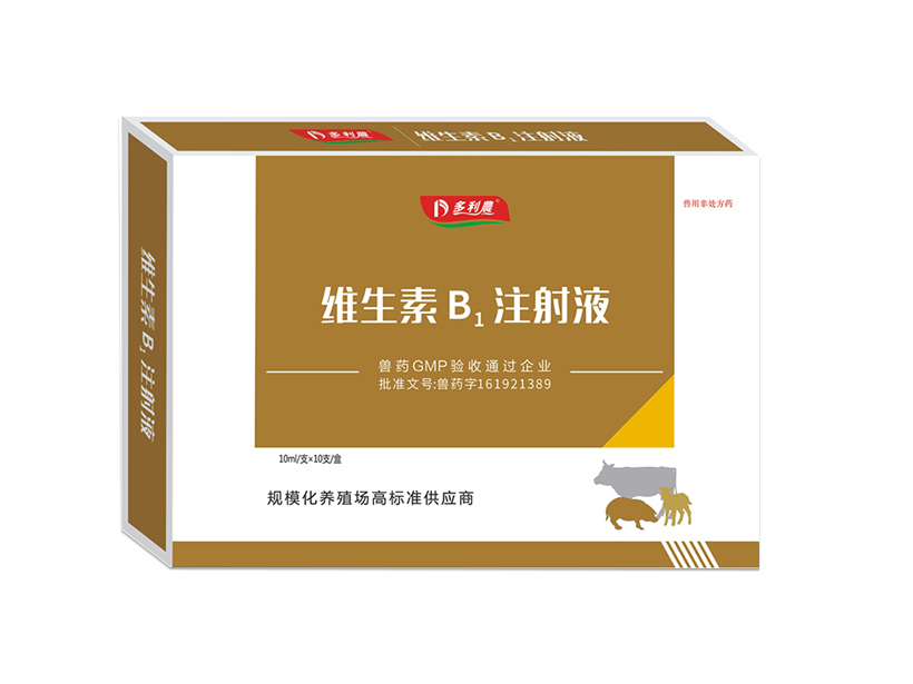 維生素B1注射液.jpg
